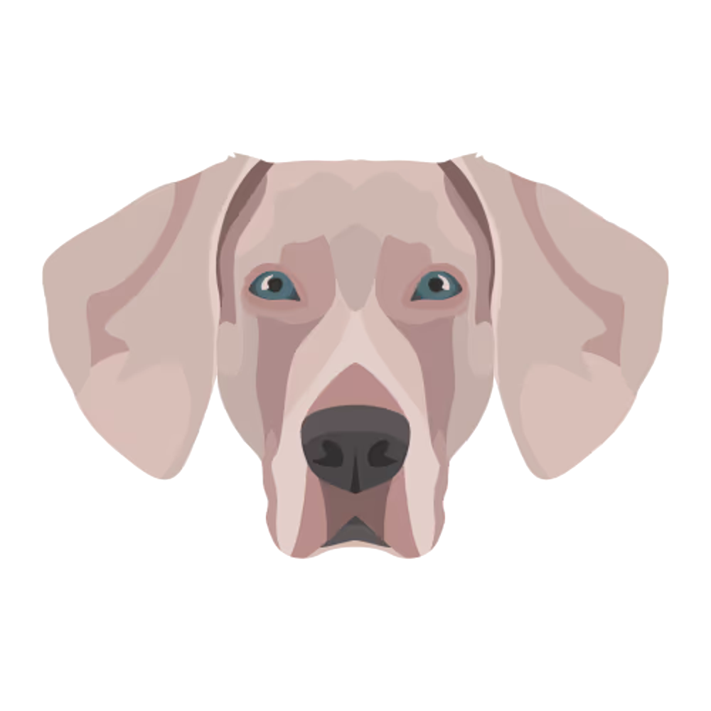 Grey Dog Labs